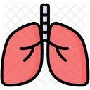 Pulmones  Icono