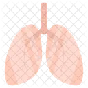 Pulmones  Icono