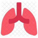 Pulmones  Icon