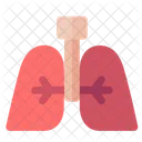 Pulmones  Icono