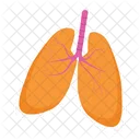 Pulmones  Icon