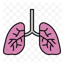 Pulmones  Icono