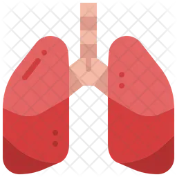 Pulmones  Icono