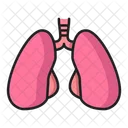 Pulmones Respiracion Anatomia Icon