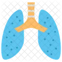 Pulmones  Icono