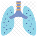 Pulmones  Icono