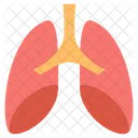 Pulmones  Icono