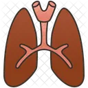 Pulmones  Icono