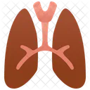 Pulmones  Icono