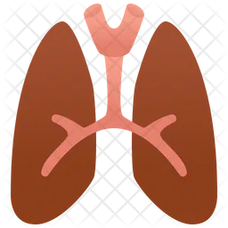 Pulmones  Icono