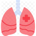 Pulmones  Icono