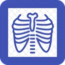 Pulmones Escaneo Informe Icono