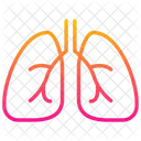 Pulmones  Icon