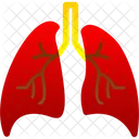 Pulmones  Icono