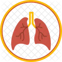 Pulmones  Icon