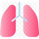 Pulmones Organo Anatomia Icono