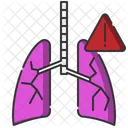 Pulmones  Icono