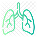 Pulmones Anatomia Sistema Respiratorio Icon