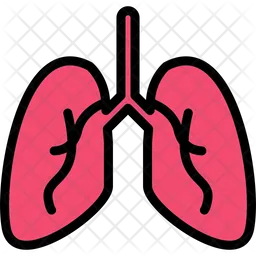 Pulmones  Icono