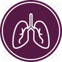 Pulmones  Icon