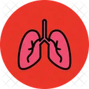 Pulmones  Icono