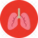 Pulmones  Icono