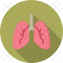 Pulmones  Icono