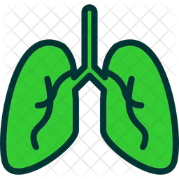 Pulmones  Icono