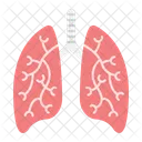 Pulmones Humanos Organo Icono