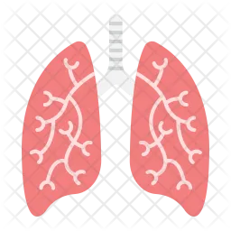 Pulmones  Icono