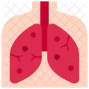 Pulmones  Icon