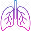 Pulmones  Icono