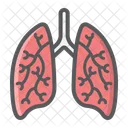 Pulmones Humanos Organo Icono