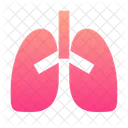 Pulmones  Icono