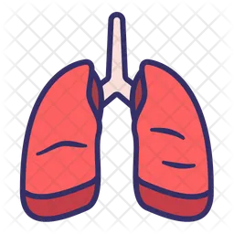 Pulmones  Icono