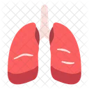 Pulmones  Icono