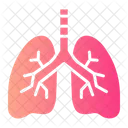 Pulmones  Icono