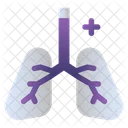 Pulmones  Icono