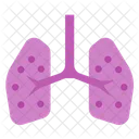 Pulmones  Icono