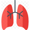 Pulmones Virus Enfermedades Icono