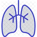 Pulmones  Icono