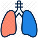 Pulmones  Icono