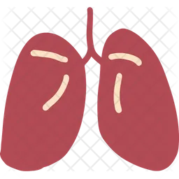 Pulmones  Icono