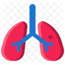 Pulmones Icono