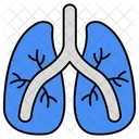 Pulmones  Icono