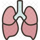 Pulmones Respiratorio Traquea Icono