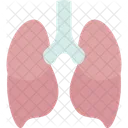 Pulmones Respiratorio Traquea Icono