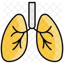 Pulmones  Icono