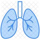 Pulmones  Icono