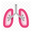 Anatomia Pulmones Organo Interno Icono